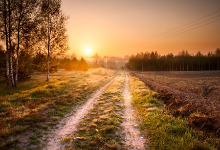 Beautiful landscape with rural sandy road at sunriseの写真素材