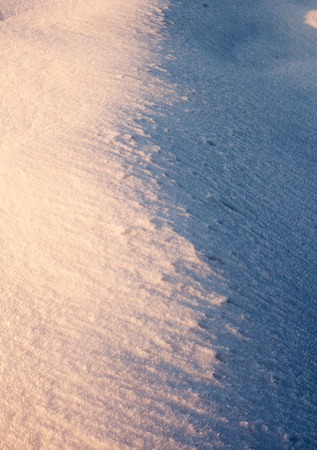Beautiful winter field covered by snow and distant trees in tranquil landscapeの写真素材