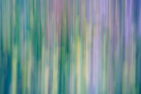 Abstract colorful enchanted forest, streak effect