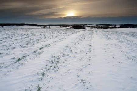 Winter field landscape with field covered by snow in Polandの写真素材