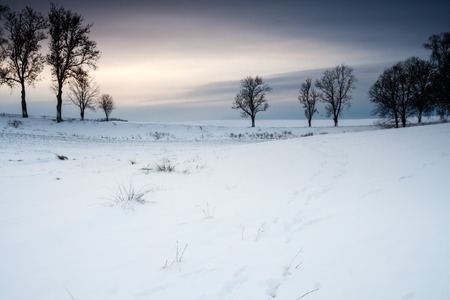 Winter field landscape with field covered by snow in Poland