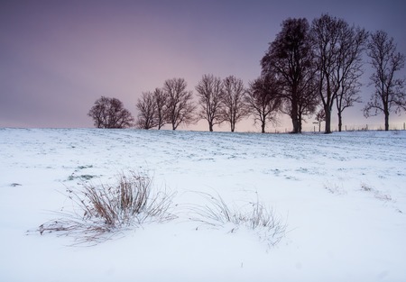 Winter field landscape with field covered by snow in Polandの写真素材