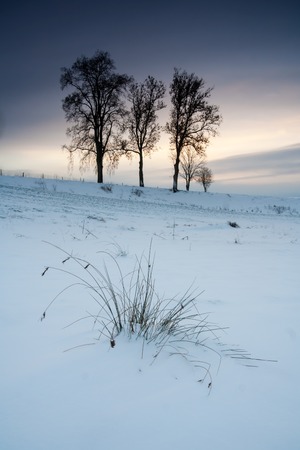 Winter field landscape with field covered by snow in Polandの写真素材