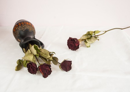 Withered dry red rose flowers and jugの写真素材