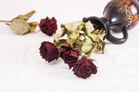 Withered dry red rose flowers and jugの写真素材