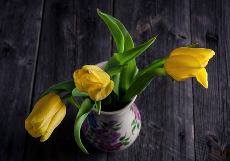Yellow tulip flowers on black backgroundの写真素材