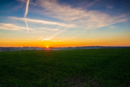 Beautiful young cereal field landscape photographed in sunset lightの写真素材
