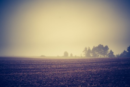 Plowed field, early autumnal landscape. Photo with vintage mood effectの写真素材