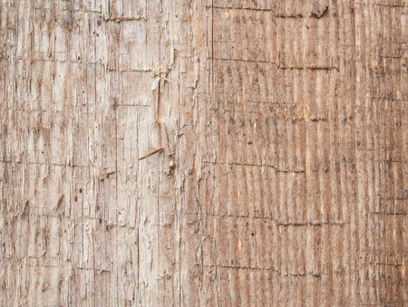 Old wooden colorful texture, useful as backgroundの写真素材