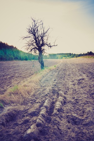 Vintage photo of rural landscape with plowed field on foreground. Polish countrysideの写真素材