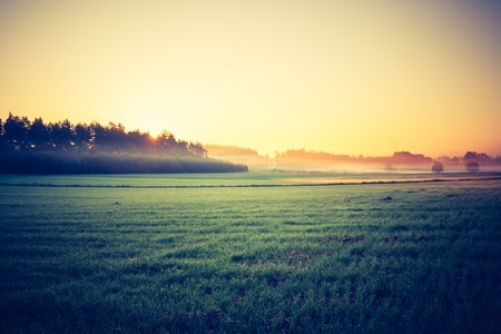 Beautiful morning landscape of meadow with fog. Photo with vintage mood effectの写真素材