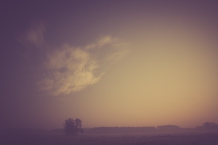 Beautiful photo of rural foggy meadow landscape photographed at sunrise. Landscape with vintage mood usefull as background.の写真素材