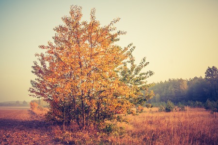 Sad autumnal landscape with plowed fields. Photo with vintage mood effectの写真素材