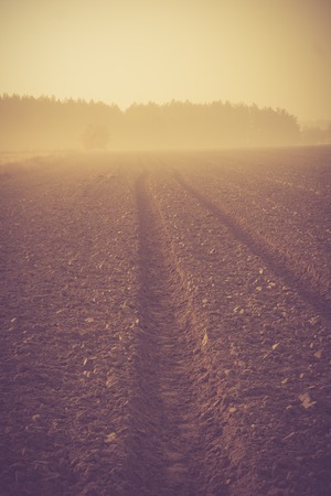Sad autumnal landscape with plowed fields. Photo with vintage mood effect