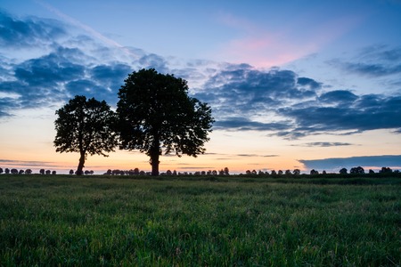 Beautiful early summertime landscape with sunset over green field