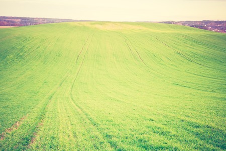 Beautiful young green field in autumn. Photo with vintage mood.