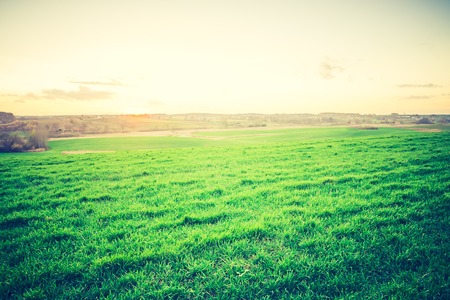 Beautiful young green field in autumn. Photo with vintage mood.