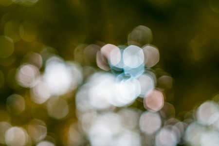 Beautiful nature bokeh soft color background photographed in forest.の写真素材