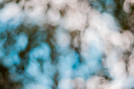 Beautiful nature bokeh soft color background photographed in forest.の写真素材