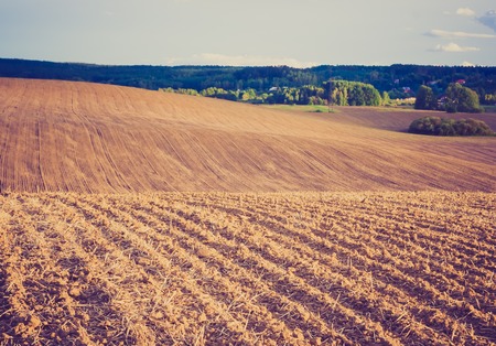 Plowed field, early autumnal landscape. Photo with vintage mood effectの写真素材