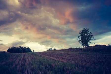 Beautiful landscape of stormy clouds over field. Photo with vintage mood.の写真素材