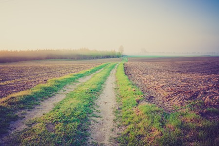 Vintage photo of rural road near field. Beautiful polish landscape