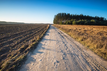 Beautiful autumnal fields landscape with sandy rural road. Calm countryside landscape with good sunny weather and blue sky without clouds.の写真素材