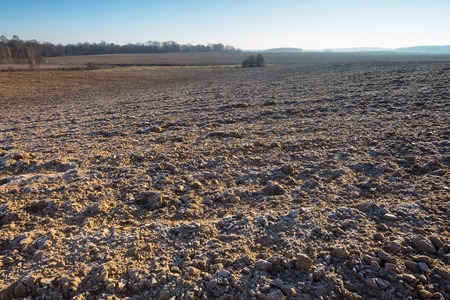 Beautiful plowed field autumnal landscape photographed in nice morning light under blue sky....