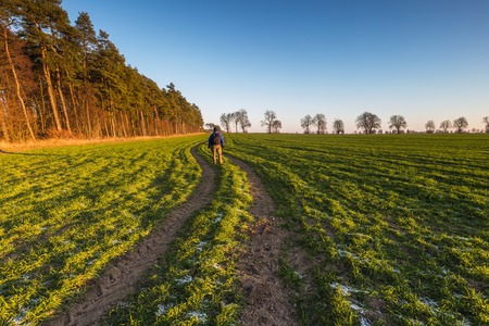 Beautiful morning landscape of sunset over young green cereal field photographed in springtime. Calm rural landscape of polish fields.の写真素材