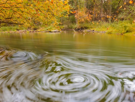 Beautiful landscape with wild river in autumnal forest. Wadag river in Poland, near Olsztyn city. Piece of landscape untouched by human hand. Tranquil scene with river.の写真素材