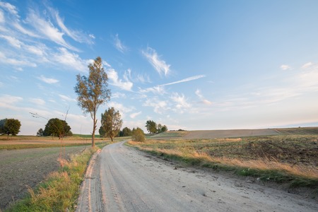 Rural landscape of polish countryside. Field or meadow under blue sky with clouds. Tranquil scene.の写真素材