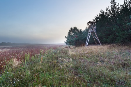 Beautiful morning landscape on countryside. Foggy and calm morning near polish villages. Tranquil sceneの写真素材