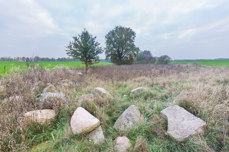 Landscape with fields and stones. Rural tranquil scene.の写真素材
