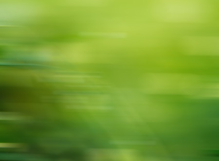 Blurry green plants background. Defocused bokeh close up useful as background.