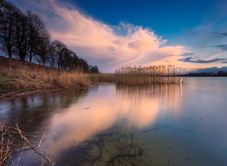 Beautiful sunset over calm lake. Colorful and vibrant landscape of lake shore with reeds. Tranquil landscape useful as backgroundの写真素材