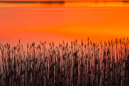 Beautiful sky reflections on lake surface. Calm landscape.