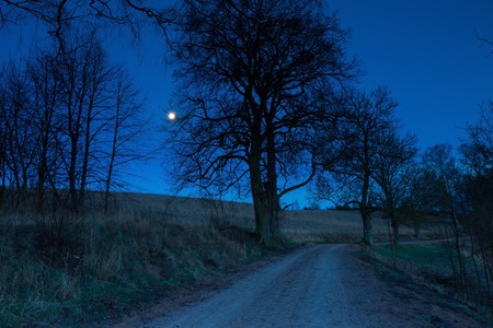 Rural sandy road at night. Beautiful calm landscape with moon on sky.の写真素材