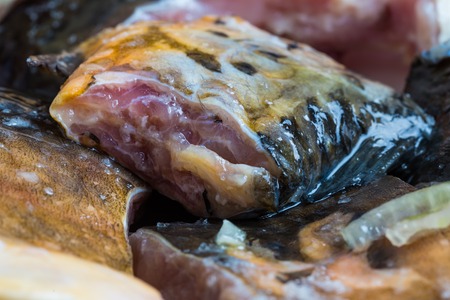 Pieces of carp fish in marinade with oil, onion and herbs - ready for frying.の写真素材