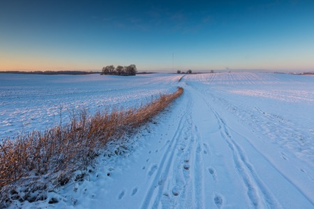 Beautiful winter sunrise or sunset landscape. Sun over agricultural field.の写真素材