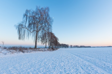 Beautiful winter sunrise or sunset landscape. Sun over agricultural field.の写真素材