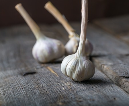 garlic bulbs on rustic wooden cutting board and wooden table. mystic light studio shot