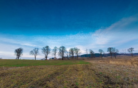 Early spring meadow with barbed wire fence at sunset. Polish landscapeの写真素材