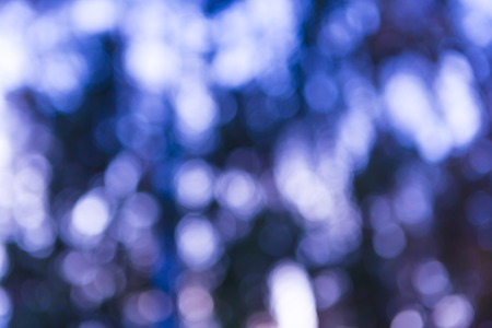 Out of focus lights in forest. defocused blurry bokeh background.の写真素材