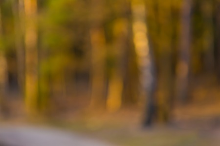 Out of focus lights in forest. defocused blurry bokeh background.の写真素材