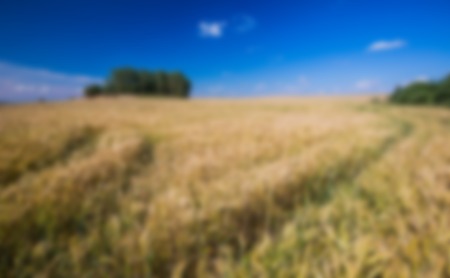 Blurry, defocused field landscape useful as background. Out of focus landscape.の写真素材