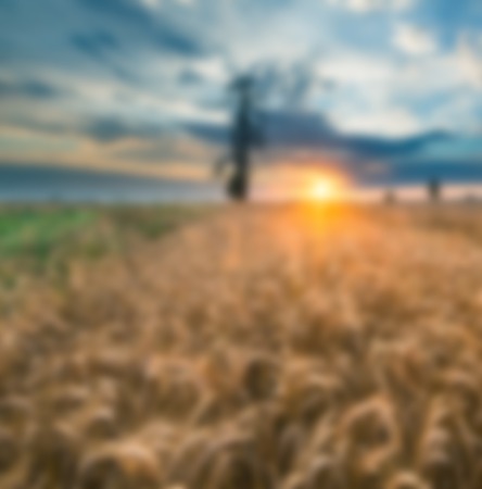Blurry, defocused field landscape useful as background. Out of focus landscape.の写真素材