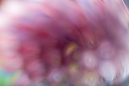 Close up of colorful straws, photo abstraction. Out of focus macro of plastic straws.の写真素材