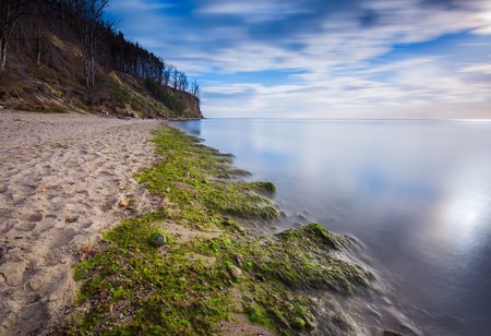 Baltic shore. Beautiful morning long exposure photo of shore shore overgrown with algaeの写真素材