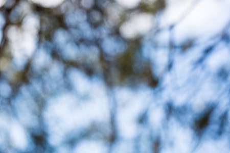 Beautiful abstract background of bokeh lights. Nature bokeh from defocused lens.の写真素材