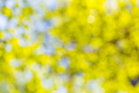 Beautiful abstract background of bokeh lights. Nature bokeh from defocused lens.の写真素材